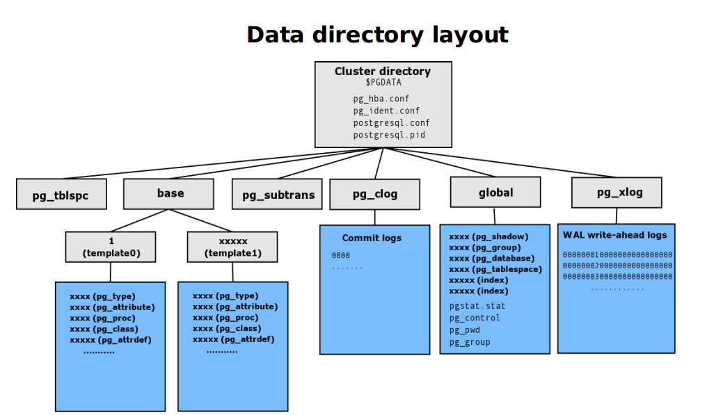 data-dir-layout